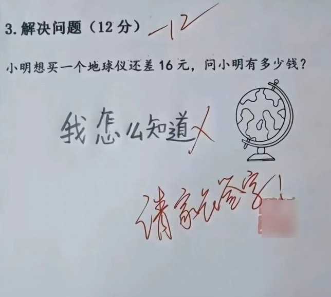 d1 11.jpg