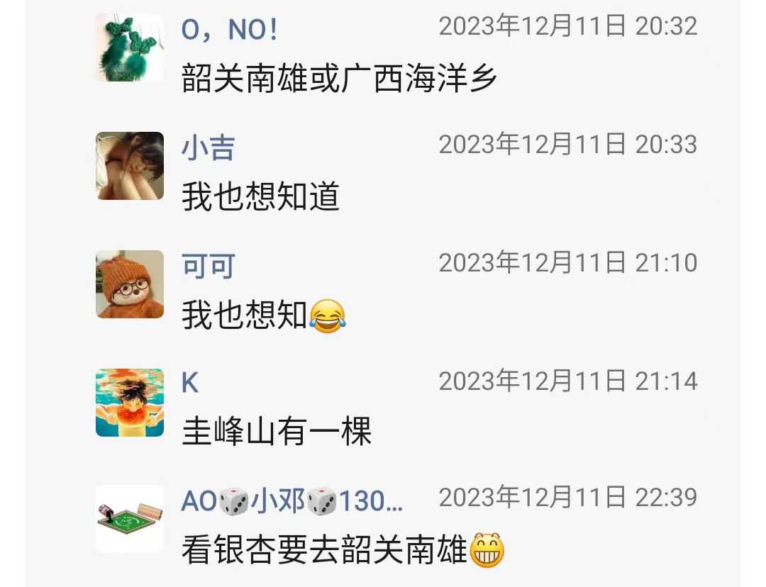 江门哪里看成排的银杏树3.jpg