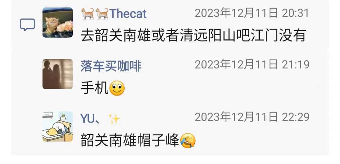 江门哪里看成排的银杏树2.jpg