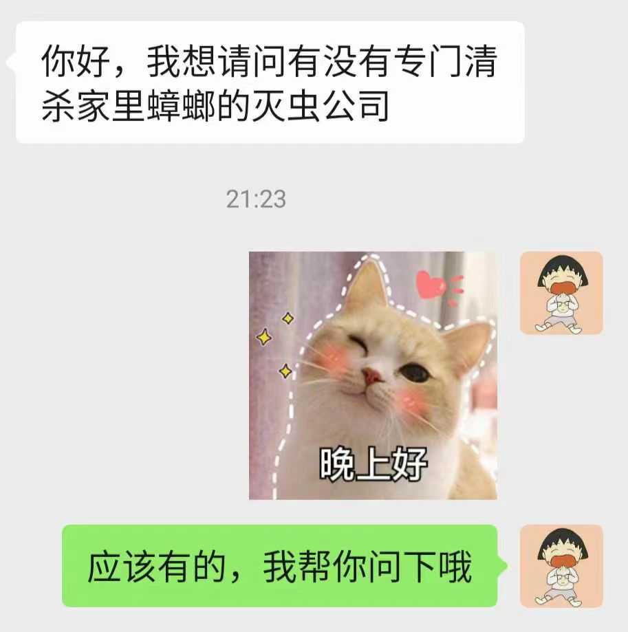 专门清杀家里蟑螂的灭虫公司.jpg