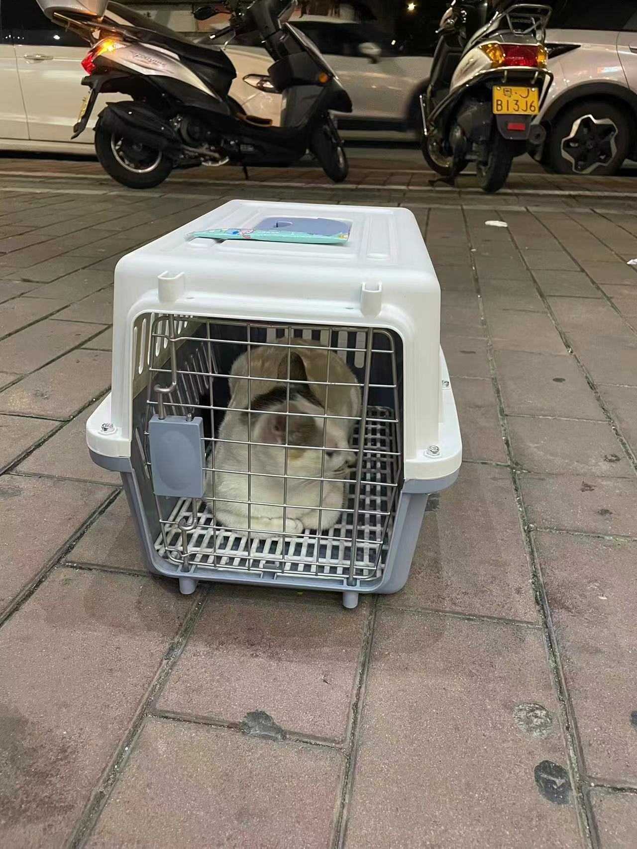 微信图片_20240621123903.jpg