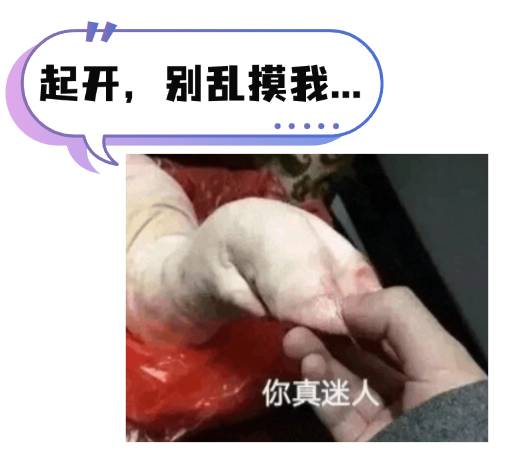 180959je7is7qm75l1q9si.png